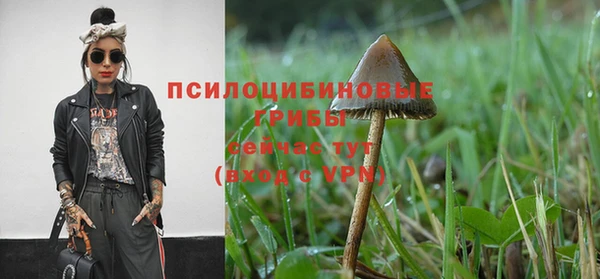 кокаин колумбия Магас