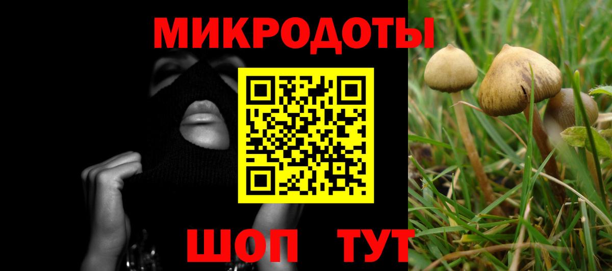 Псилоцибиновые грибы Psilocybine cubensis  Вход с VPN  как найти наркотики  Новый Уренгой 